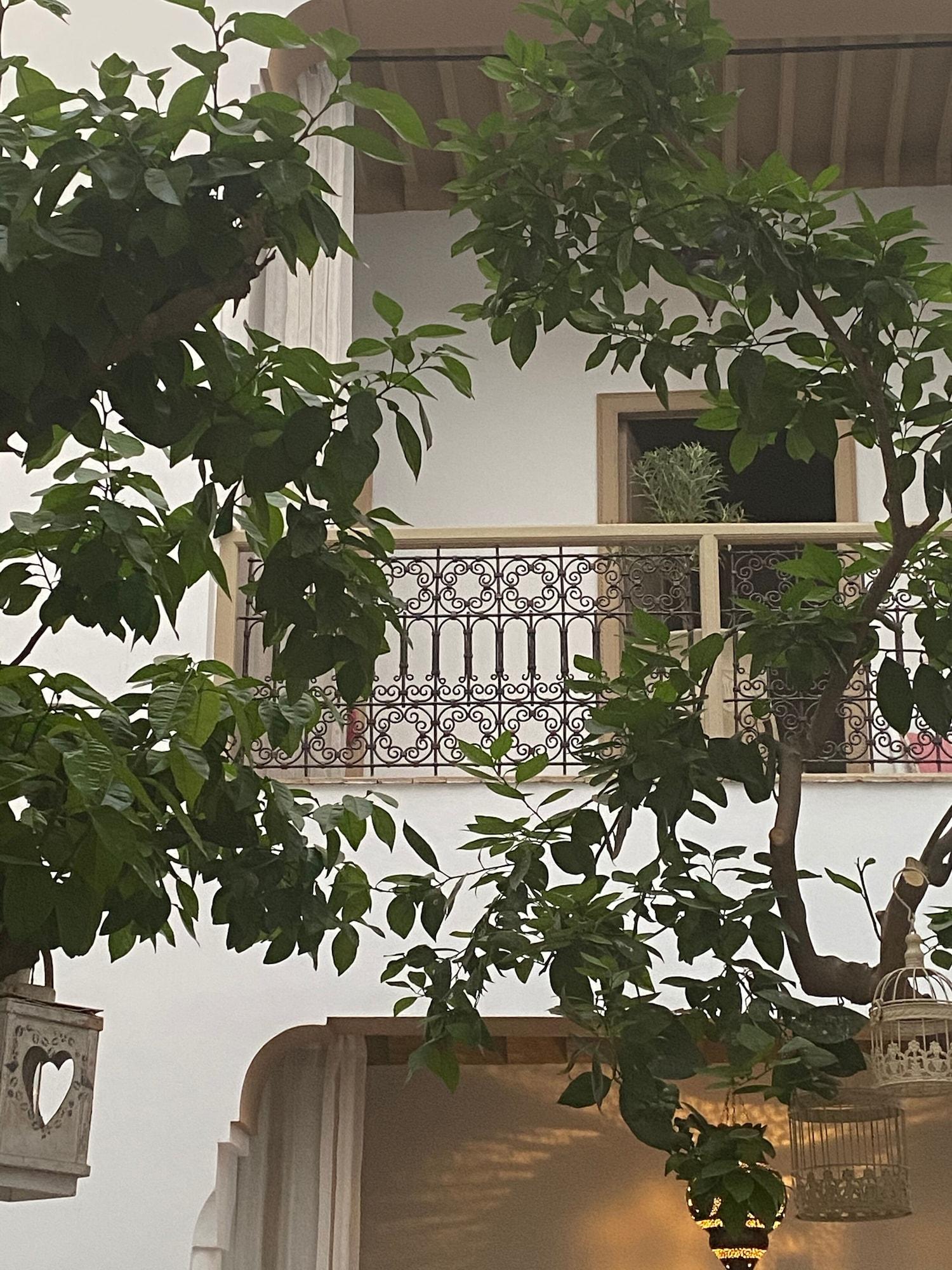 Riad Les Orangers D'Alilia Marrakesh Esterno foto