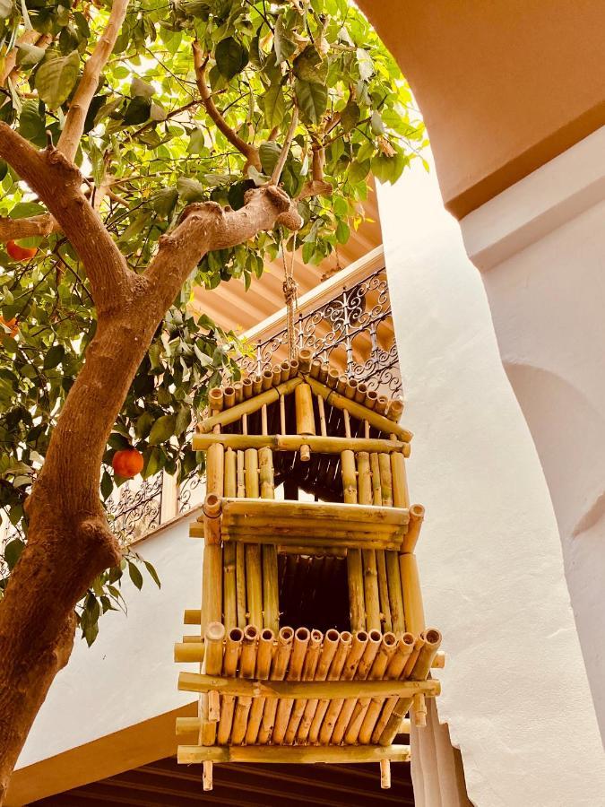 Riad Les Orangers D'Alilia Marrakesh Esterno foto